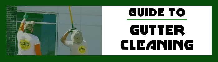 gutter cleaning guide 2022