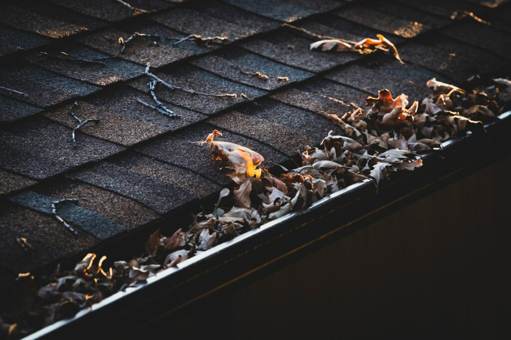 why gutter cleaning worth it