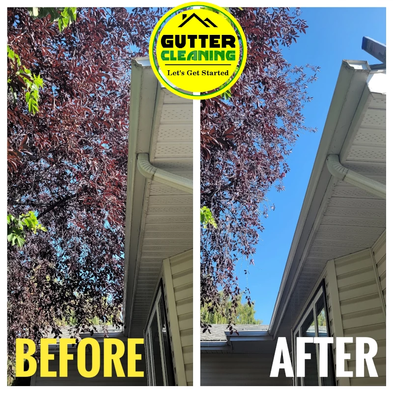 trim branches gutter cleaning